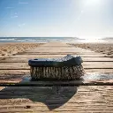 BROTHERS Long Bristle Horse Hair Leather Cleaning Brush فرشة برازرز شعر حصان طبيعي لتنظيف فرش السيارة BR/HORSE BRUSH