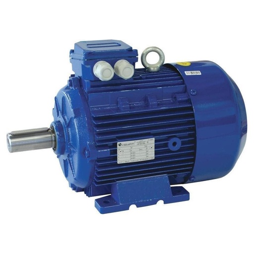 [PSCMXX00011] VEMAT Male Shaft Electric Motor 2-Poles 11kW 15HP 2800Rpm 380V 50/60Hz