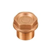 [CWIPSP00089] طبة نحاس انتربامب ايطالي INTERPUMP BRASS VALVE CAP / WS151-WS201
