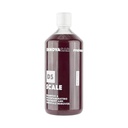 FRA-BER DS SCALE 1000ML Water Spot Stain Remover And Decontaminant For Acid Rain And Limescale
