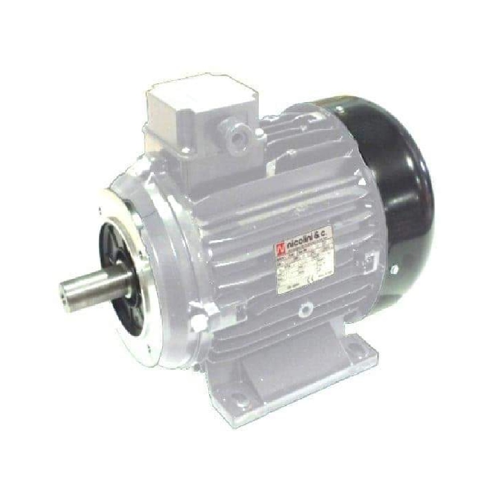NICOLINI Male Shaft Electric Motor 4-Poles 3kW 4HP 1450Rpm 220V (Grey)