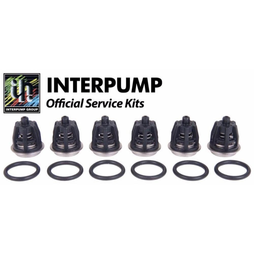 INTERPUMP KIT1 High Pressure Washer Valve Kit For WS151-WS201-WS202