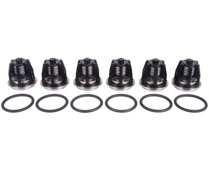 INTERPUMP KIT43 High Pressure Pump Valve Kit For W8