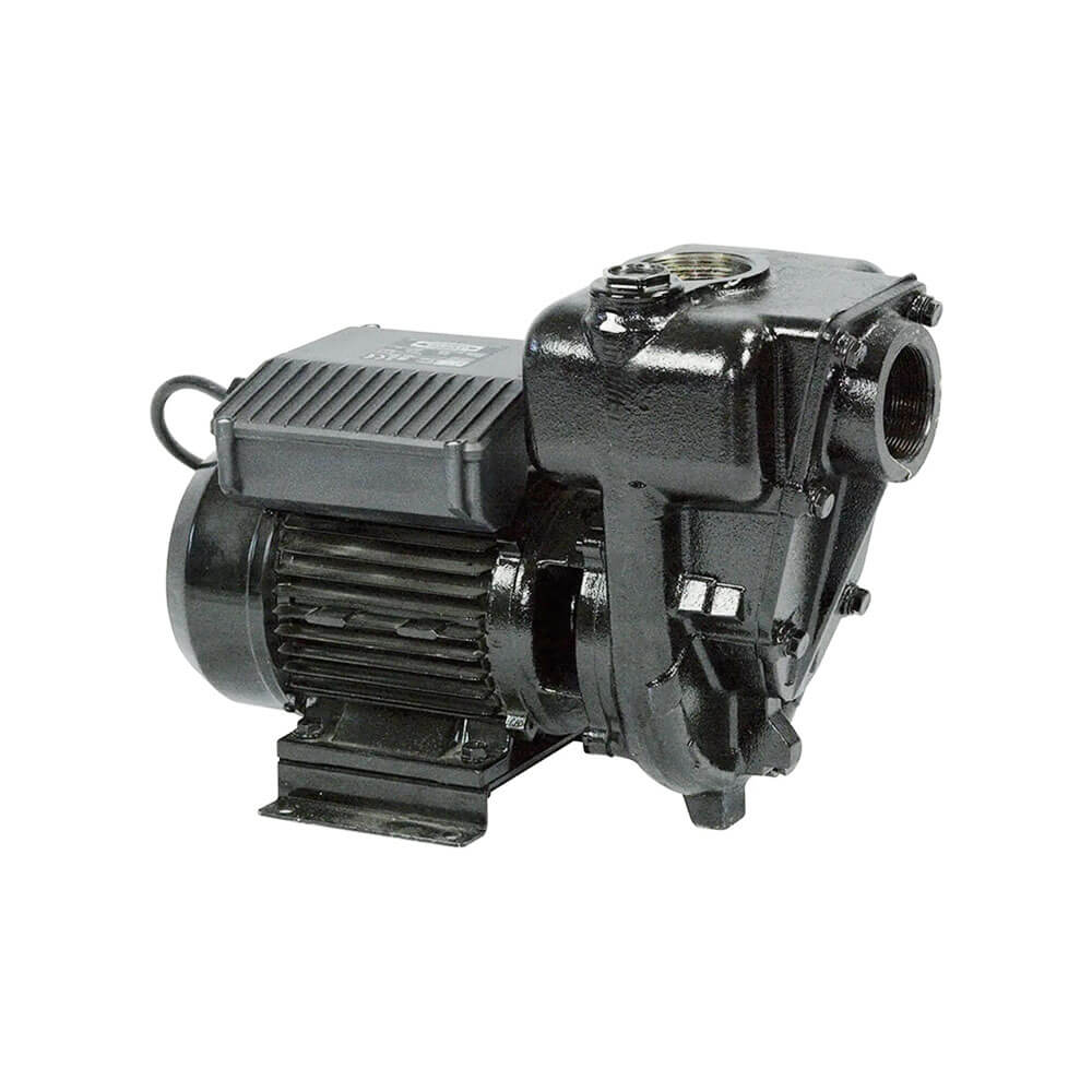 PIUSI E300 Diesel Transfer Eectric Pump 550L/Min 2 Inch 220V