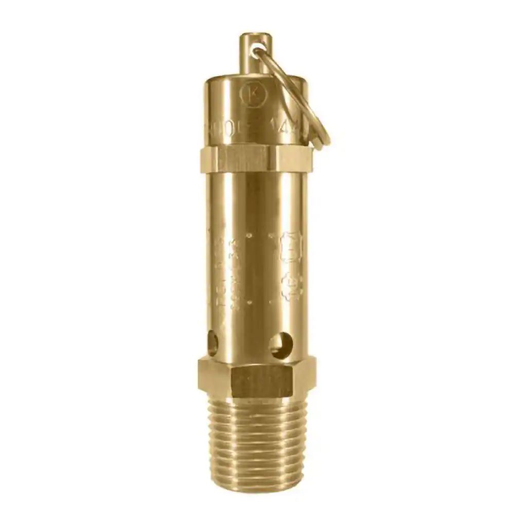 FG Safety Valve 1/2 Inch 12 Bar