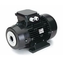 [1052112] NICOLINI Double Flange Hollow Shaft Electric Motor 4-Poles 30kW 40HP 1450Rpm 400V/690V (Black)