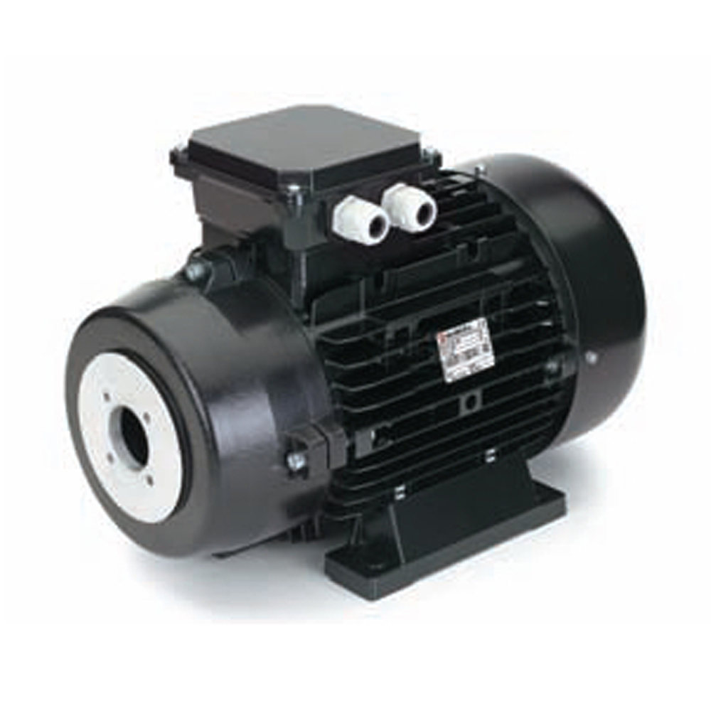 NICOLINI Double Flange Hollow Shaft Electric Motor 4-Poles 18.5kW 25HP 1450Rpm 380V (Black)