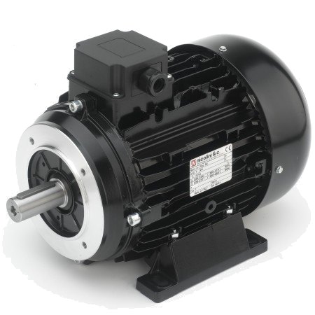 [105236] NICOLINI Male Shaft Electric Motor 4-Poles 5.5kW 7.5HP 1450Rpm 380V (Black)