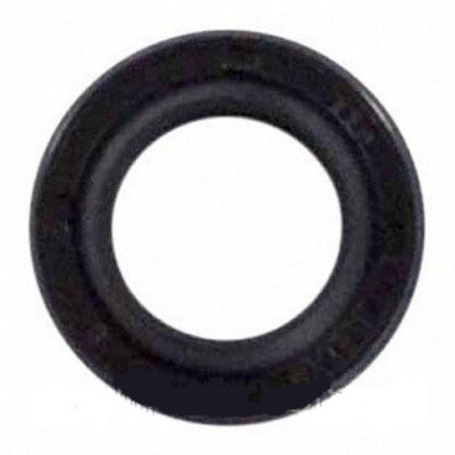 [CWIPSP00030] INTERPUMP High Pressure Pump Oil Seal 15*24*5/7mm For E2B1713 - E3B1515 - E3B2515 - E3B2121 - E3B2021