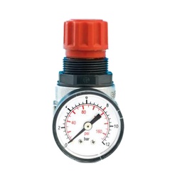 [803112] FG Pressure Regulator 1/4 Inch 12 Bar