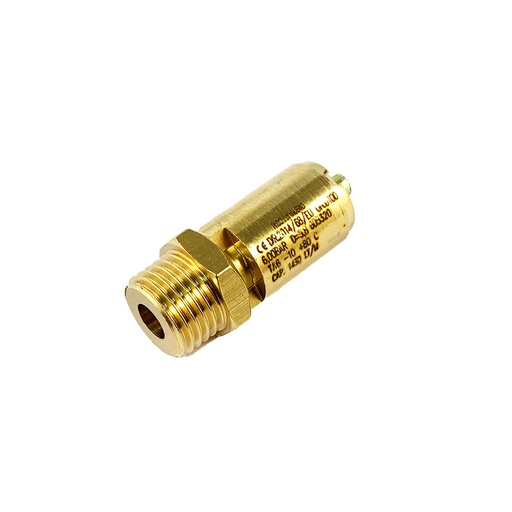 [PSACAS00014] FG Safety Valve 1/4 Inch 12 Bar