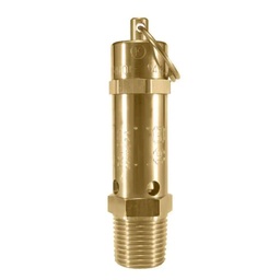 [80410011] FG Safety Valve 1/2 Inch 12 Bar