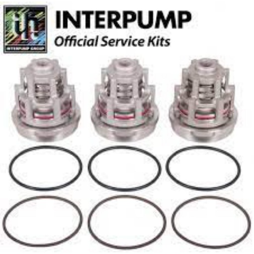 [CWIPSP00058] INTERPUMP KIT2012 High Pressure Pump Valve Kit For WK15