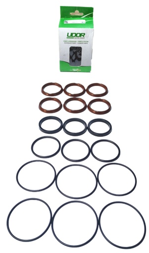 [CWUPSP00033] طقم حشو KIT145 طلمبة غسيل ماركة اودور لموديل VX-B 160/130 - ايطالي